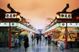 travel japan for seniors